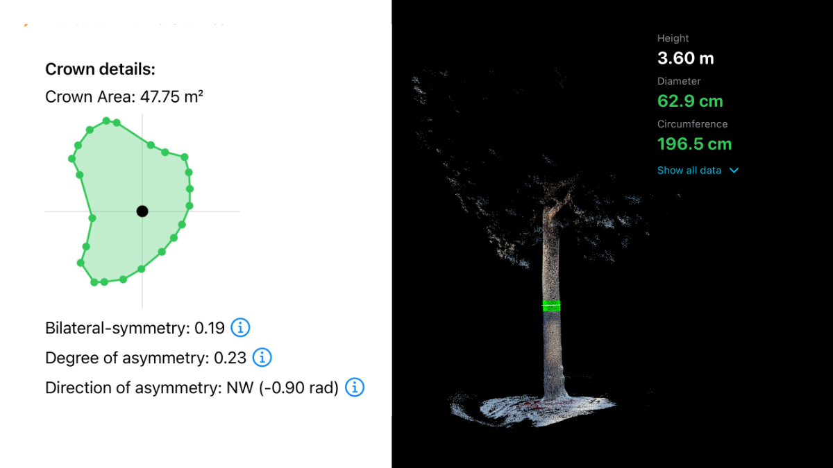 Arboreal Träd får 3D-skanning, punktmoln och en ny Premium-nivå för Stadsskogsskötsel