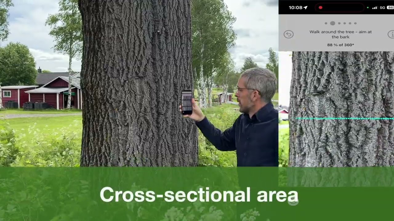 Att mäta grova träd blev precis enkelt — det nya digitala måttbandet i Arboreal Träd