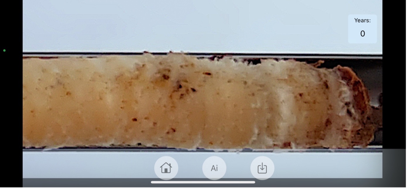 Drill core from Pine with dirt making counting difficult