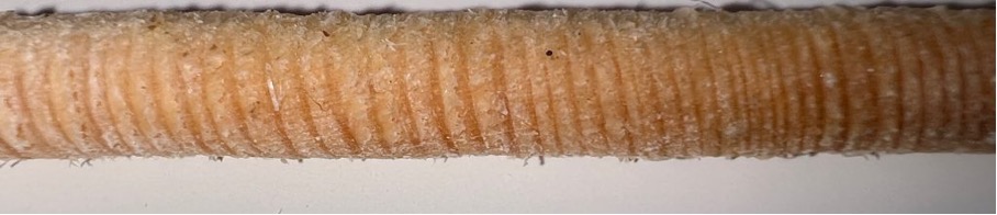 iPhone 13 Pro Ultrawide drill core image