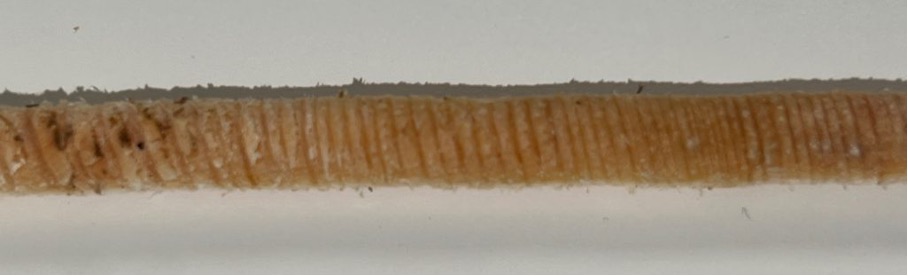 iPhone 13 Pro Wide drill core image