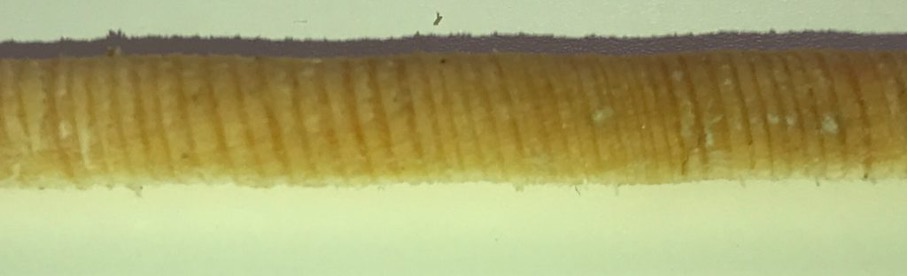 iPhone 7 drill core image