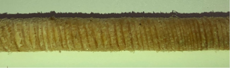 iPhone 8 drill core image