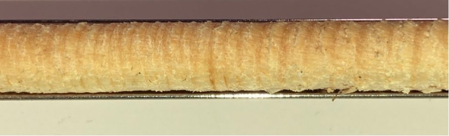 iPhone SE2 drill core image