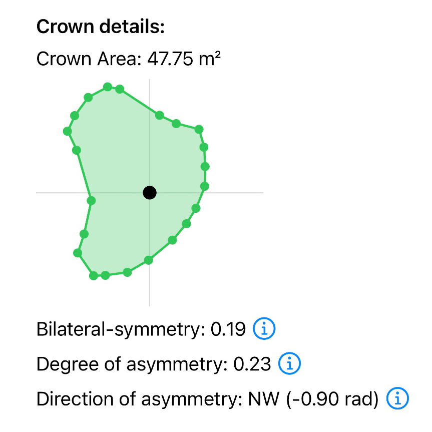 Mät kronformen genom att gå under trädet och samla in den yttre omkretsen — appen beräknar area och asymmetri.