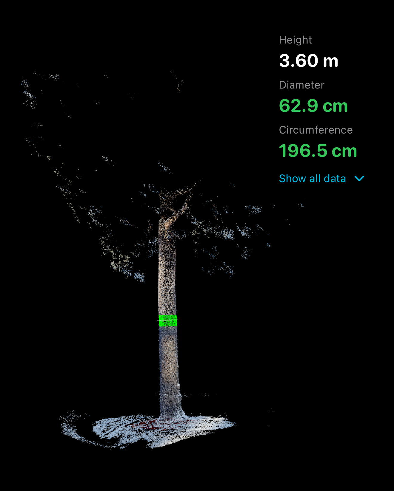 Visualisera, mät diameter och exportera punktmolnet.
