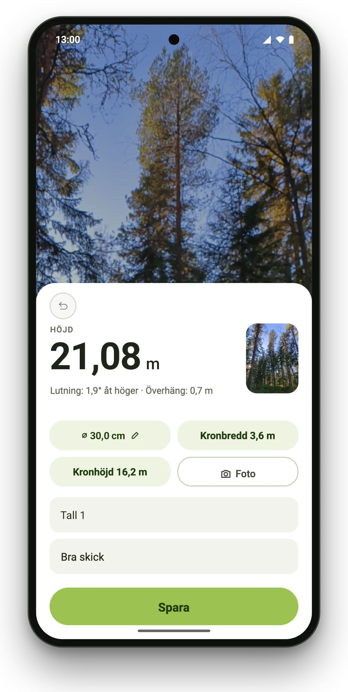 Arboreal Tree App Interface