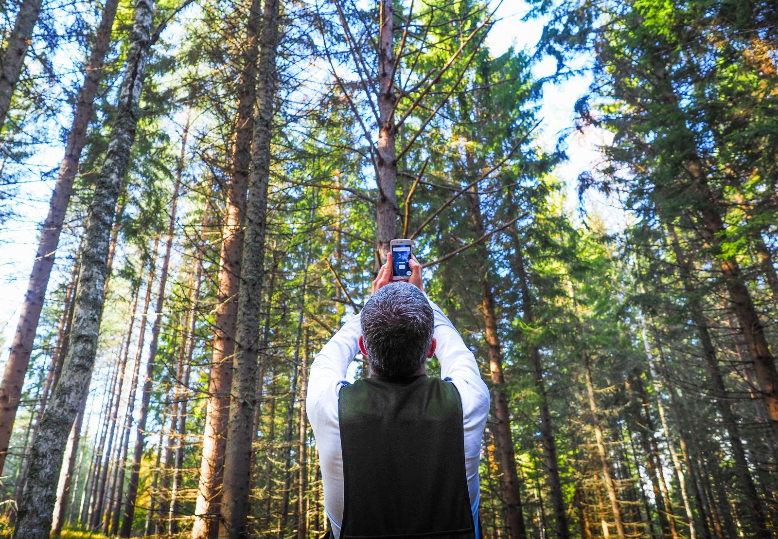 Mide el bosque con Arboreal