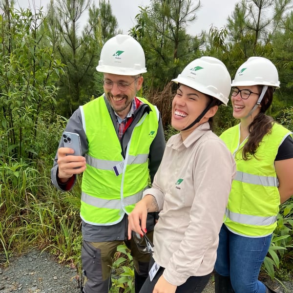 Team working in the forest