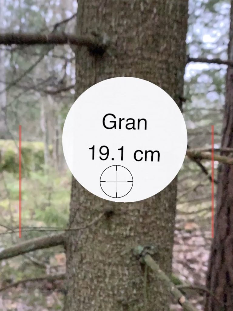 New method to measure a tree