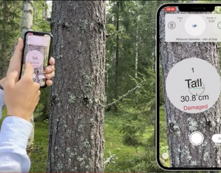 Genomgång av alla avancerade funktioner – video för Arboreal Skog